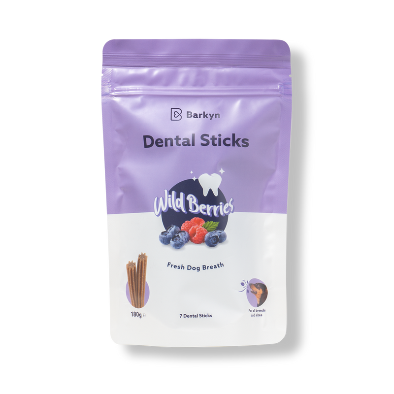 Dental Sticks de Bayas Silvestres