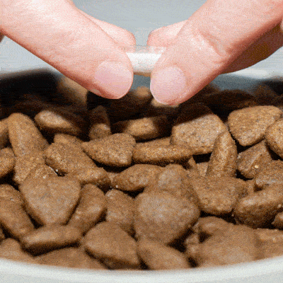Probiótico para la digestión