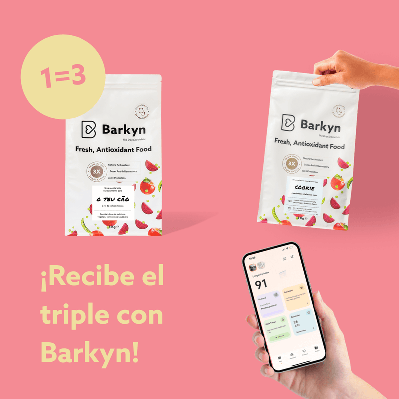 2 meses de experiencia Barkyn · 9kg al mes