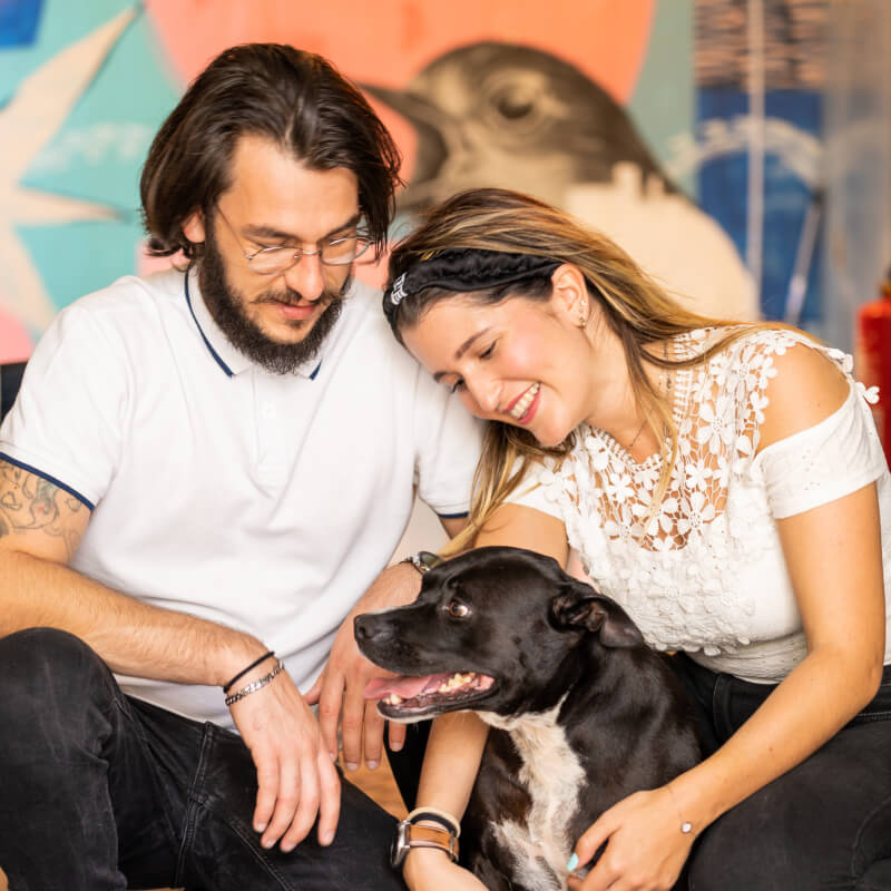 El plan nutricional de tu perro