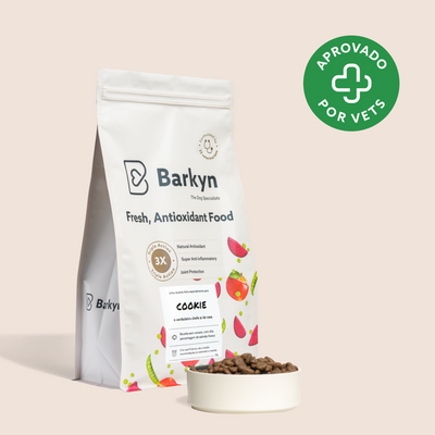 Comida con pollo y verduras