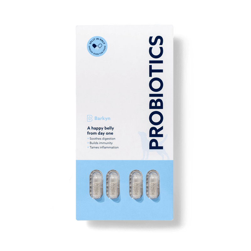 Probiótico FREE