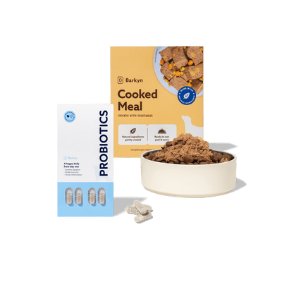 Pack Digestión – Sabor irresistible, apetito regulado