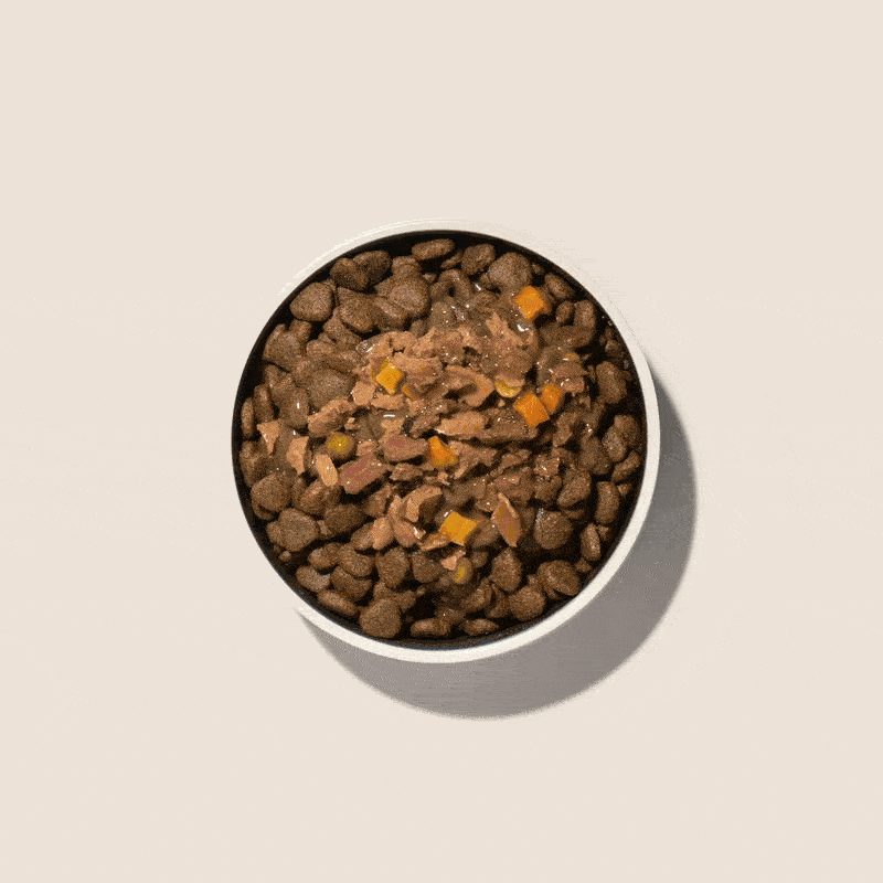 Topping naturale al pollo e mela rossa - Barkyn Store