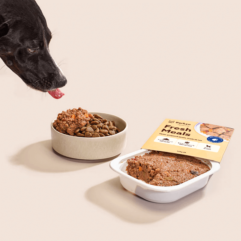 Pack Digestión – Sabor irresistible, apetito regulado
