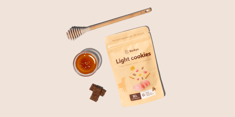 Biscotti light al miele e cannella - Barkyn Store