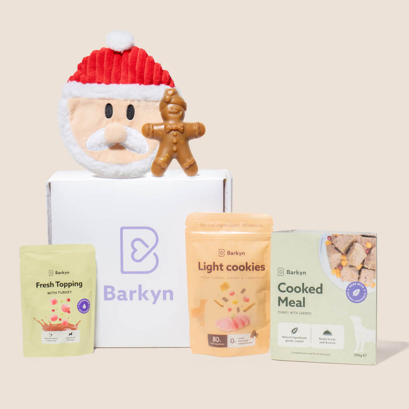 Surprise Box de Navidad