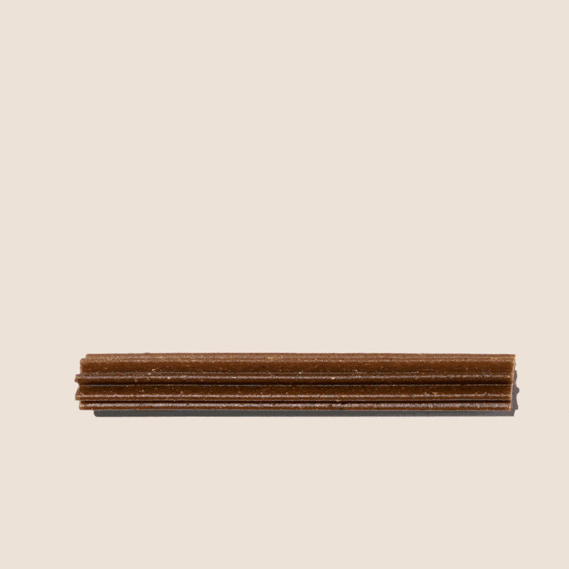 Dental Sticks de menta