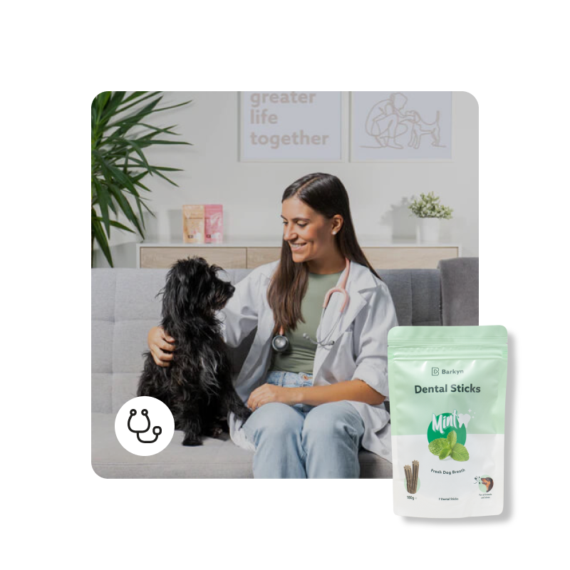 Consulta de Higiene Bucal + Dental Sticks de menta