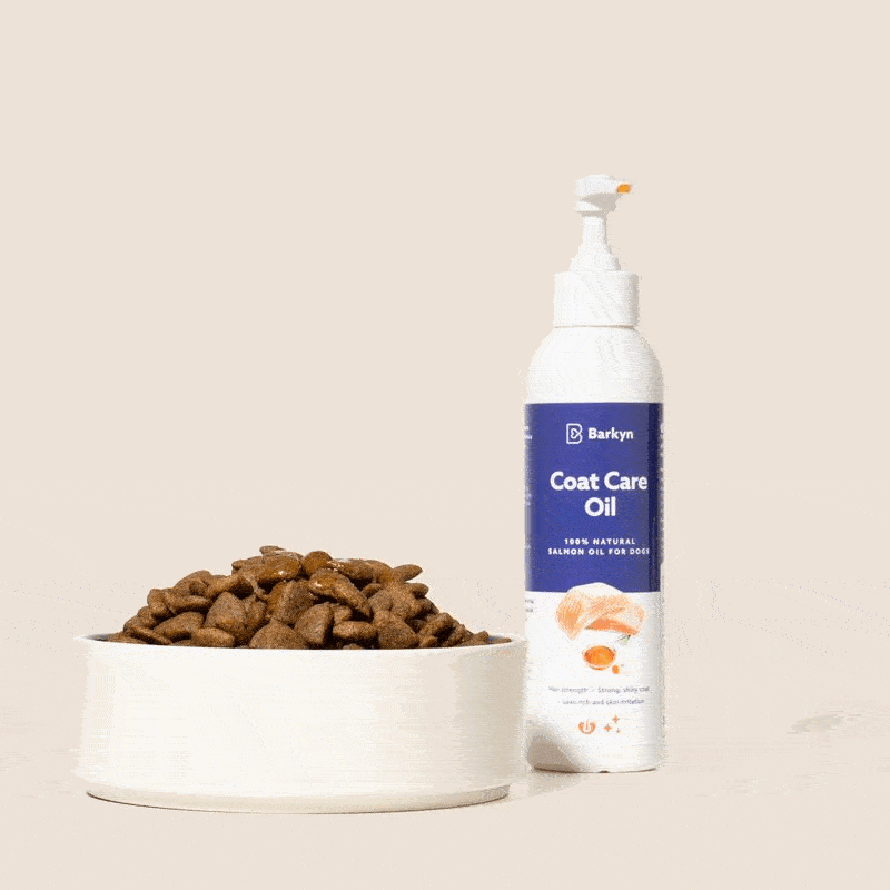 Olio di salmone riparatore - Barkyn Store