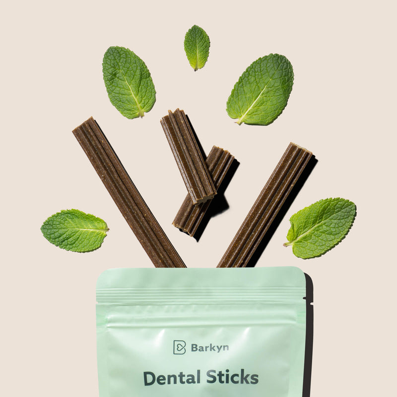 Free Dental Sticks de menta grande