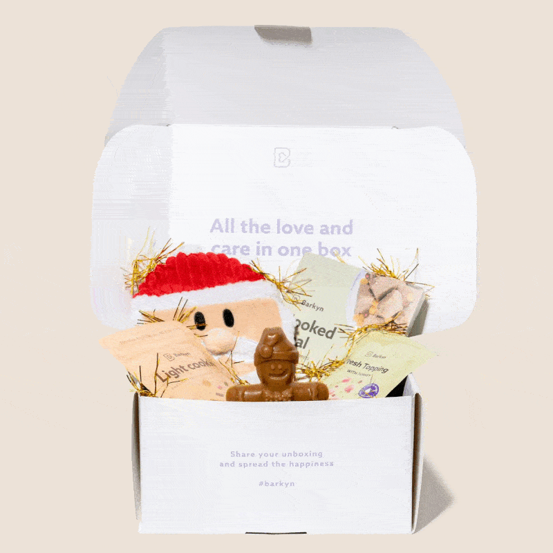 Surprise Box de Navidad