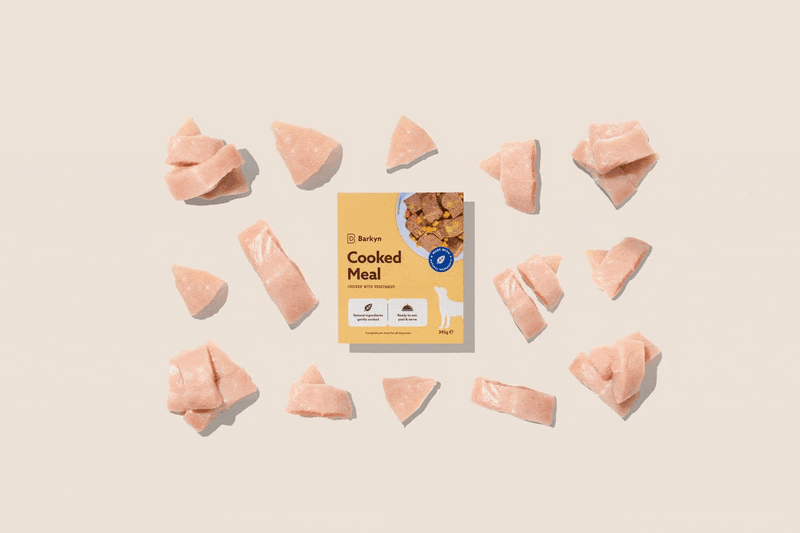 Cibo umido: pollo, carote e piselli - Barkyn Store