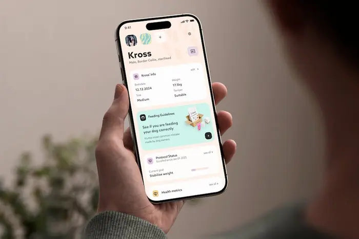 La app Barkyn en la mano, con el perfil y el registro de salud del perro