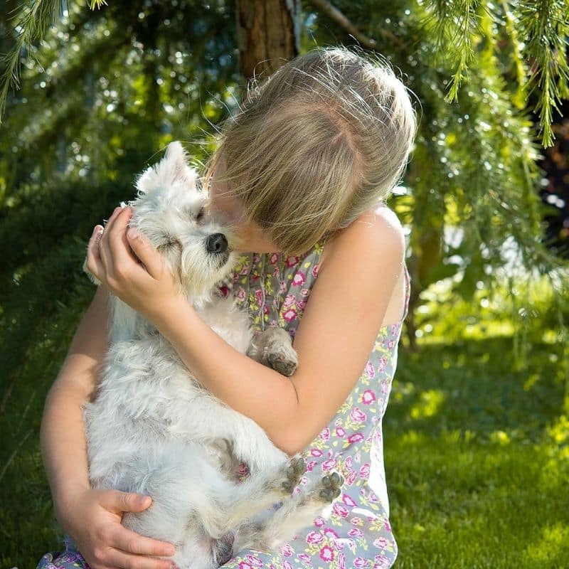 Frases de amor dedicadas a tu perro