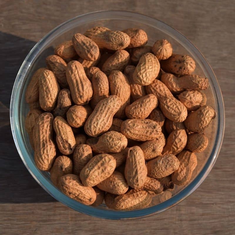 ¿Los perros pueden comer cacahuetes?