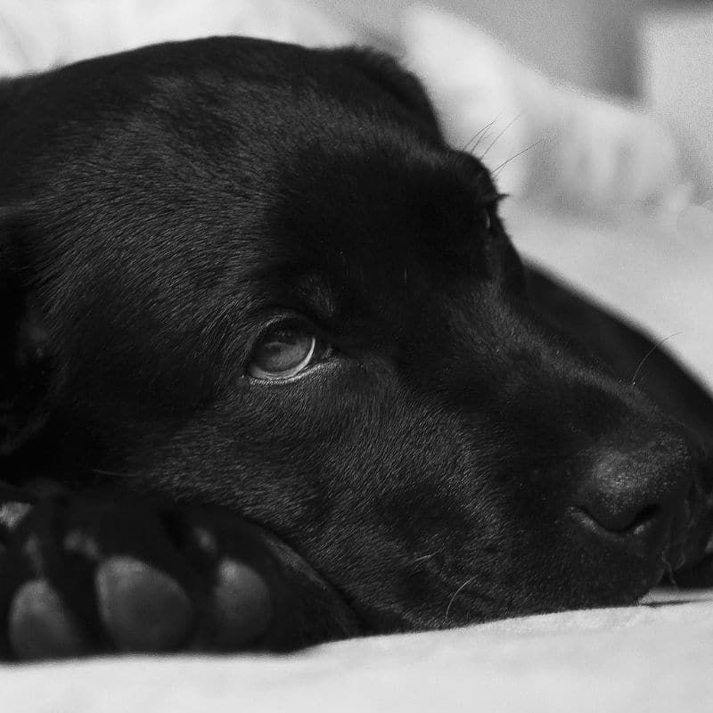 Bultos en la piel ¿qué significan?