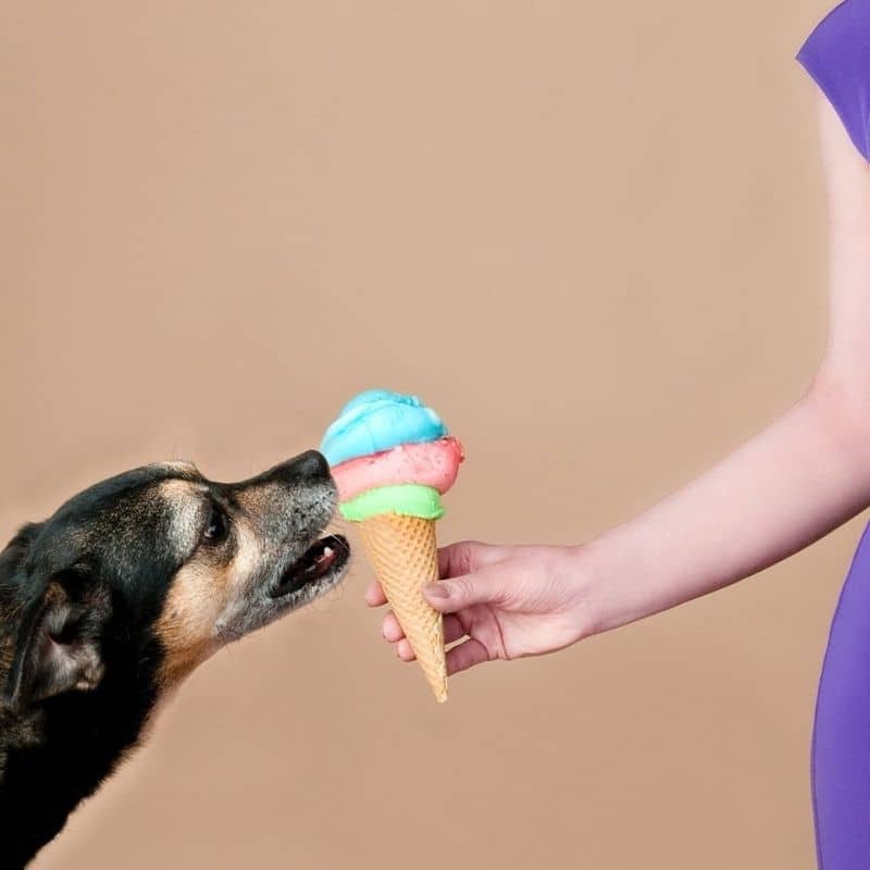 ¿Pueden los perros comer helado?