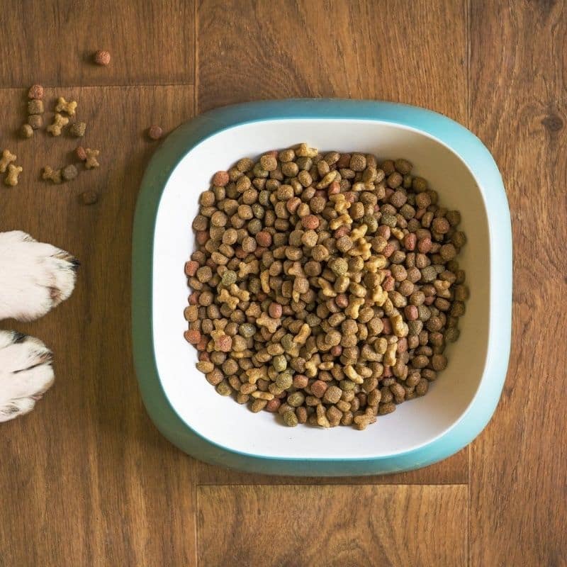 La composición ideal de pienso para perros