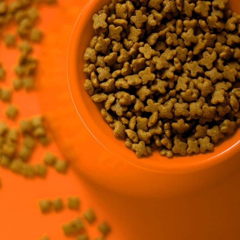 3 ingredientes comunes de las mejores comidas para perros