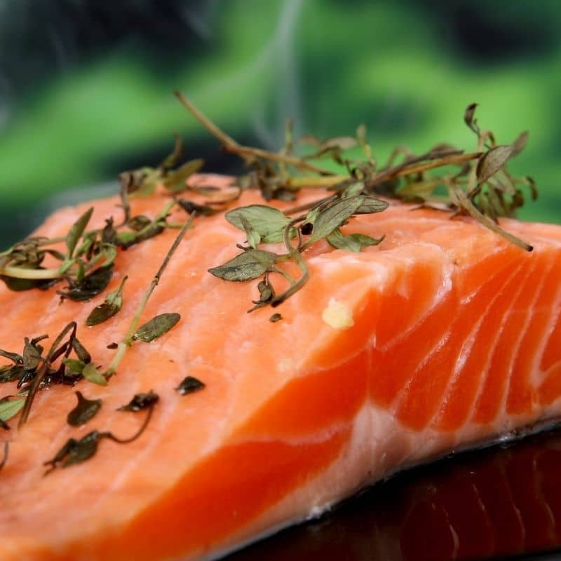 ¿Los perros pueden comer salmón?