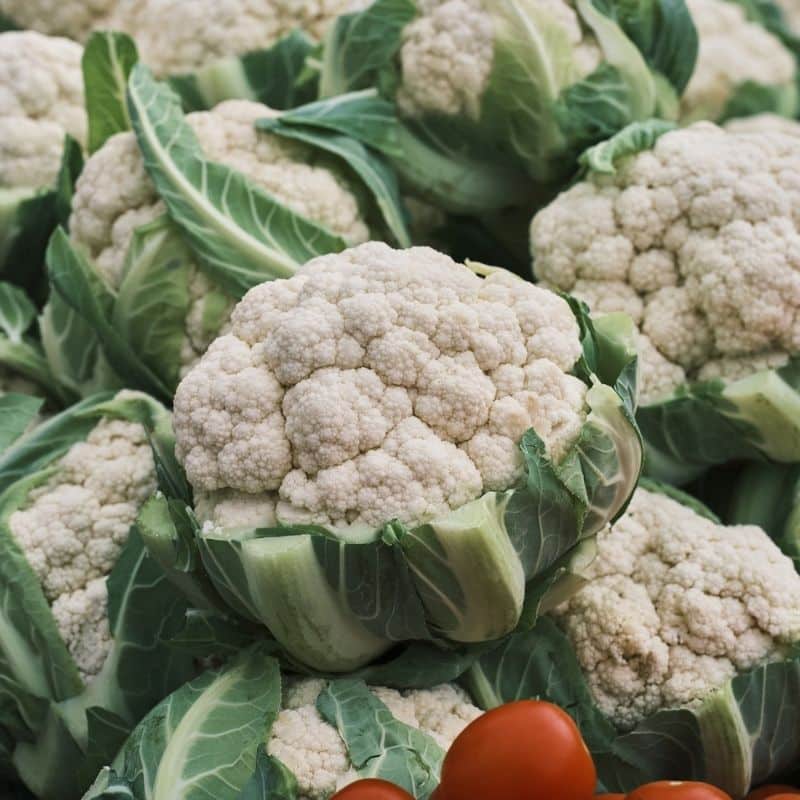 ¿Los perros pueden comer coliflor?