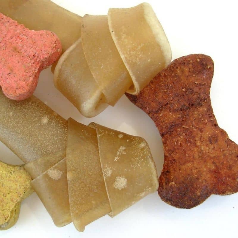 ¿Los perros pueden comer galletas?