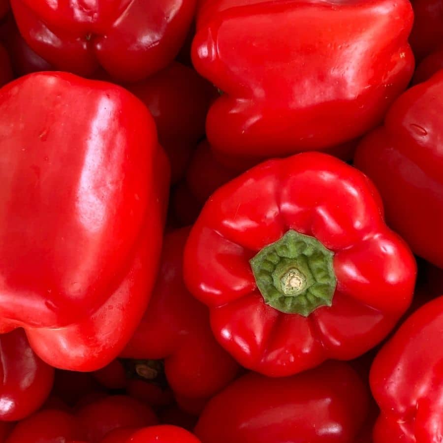 Los perros pueden comer pimiento