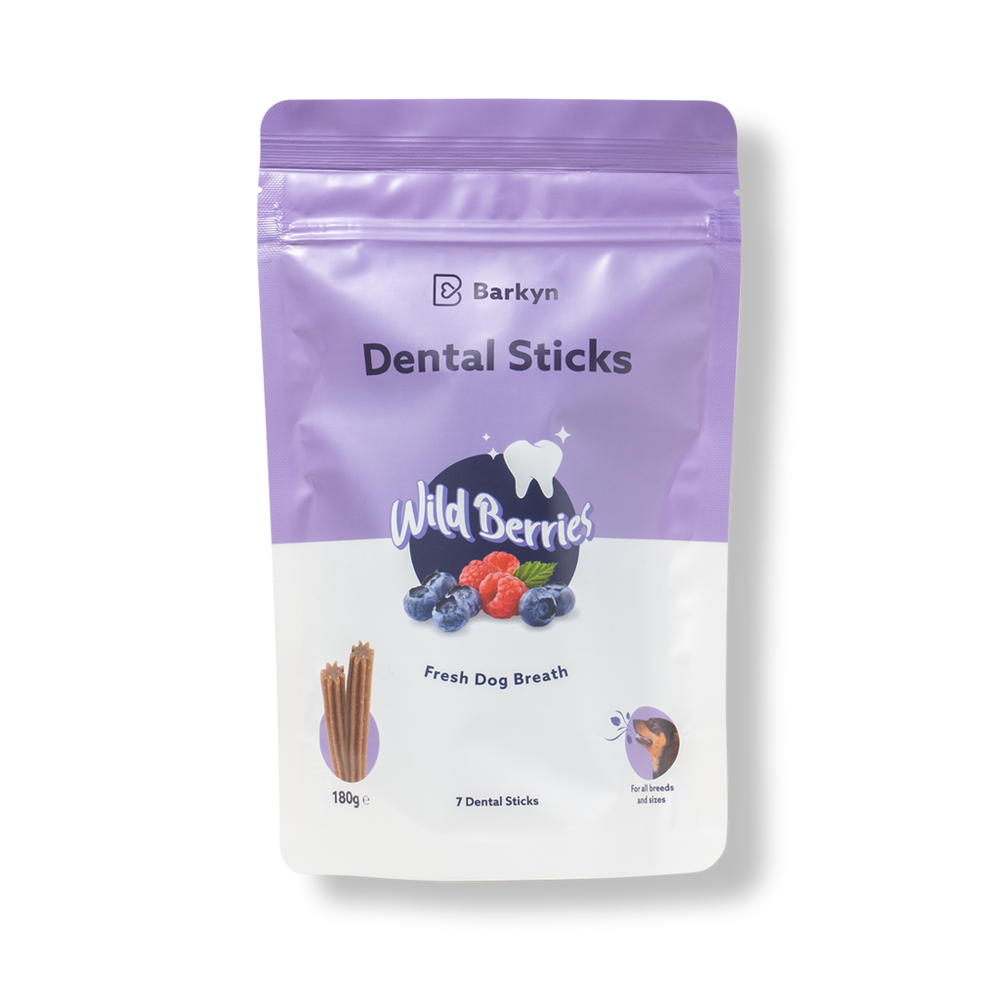 Dental Sticks de Bayas Silvestres