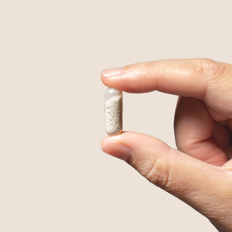 Probiótico para la digestión