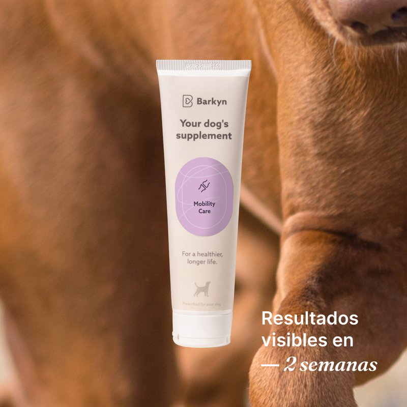 Free Suplemento Mobility Care