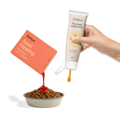 Programa Longevidade