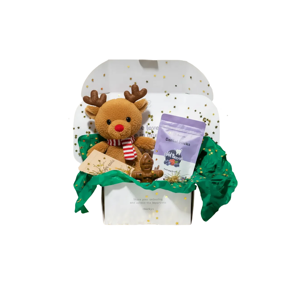 Surprise Box de Navidad (Edición 2025)