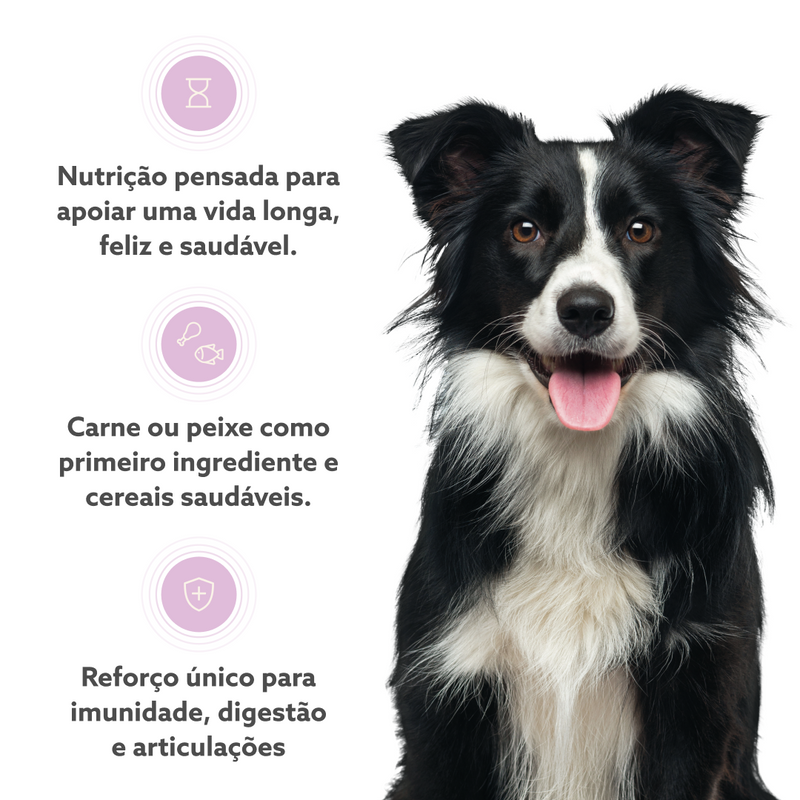 Receita Anti-Ageing Light