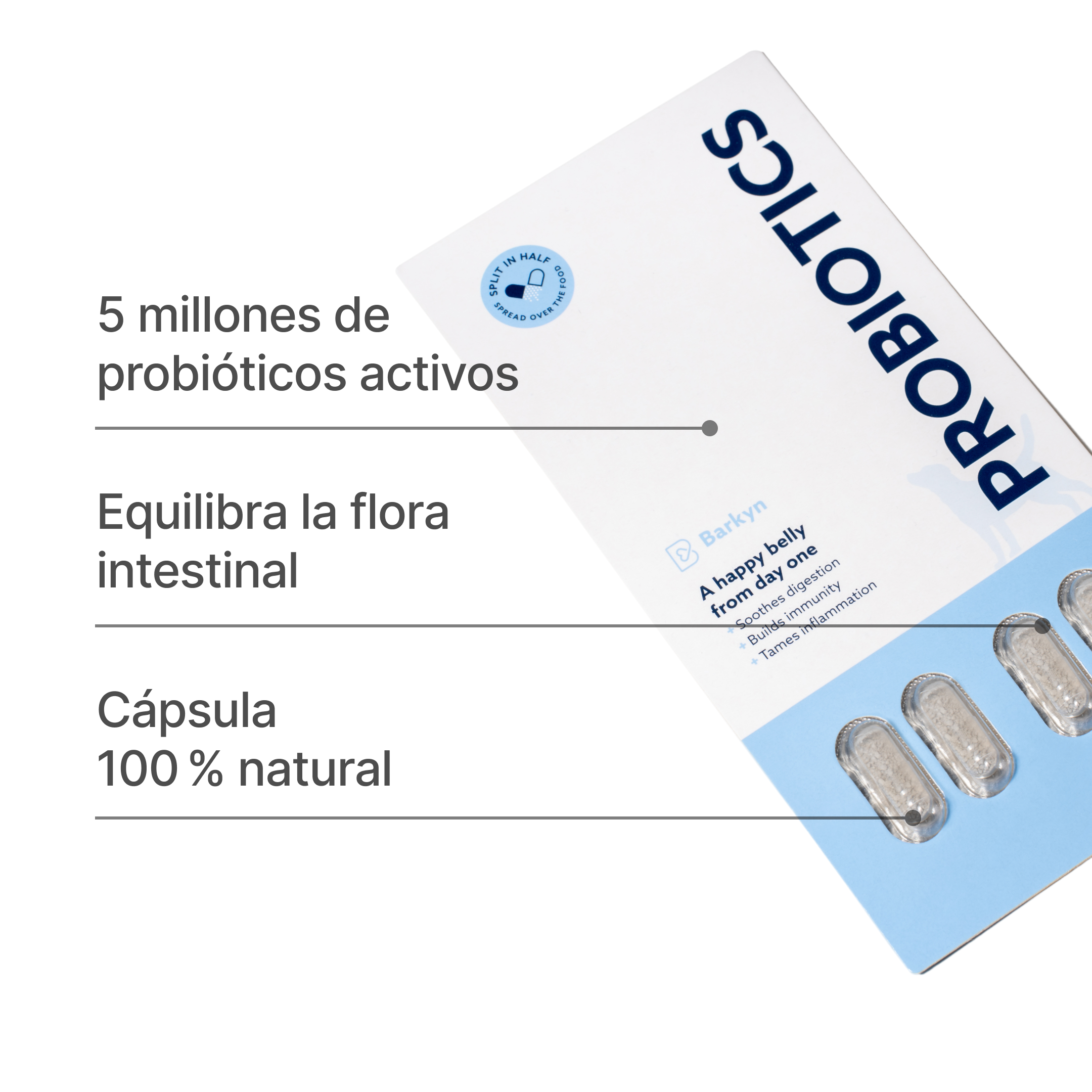 Pack “Nuevo Comienzo”