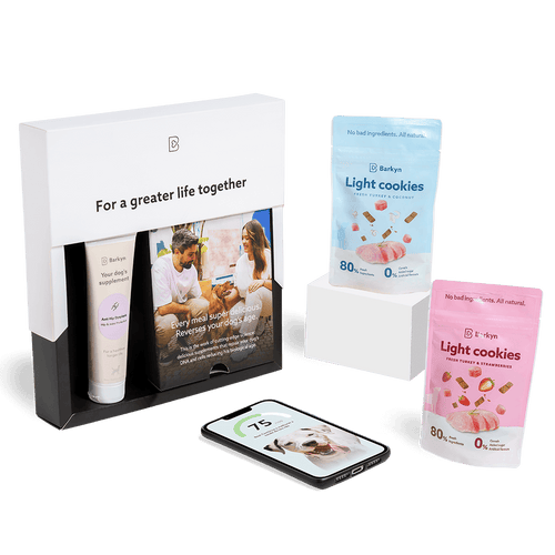Supplement box