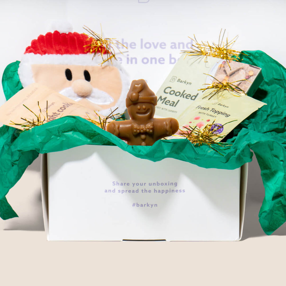 Surprise Box de Navidad