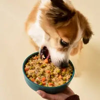 Alimentación