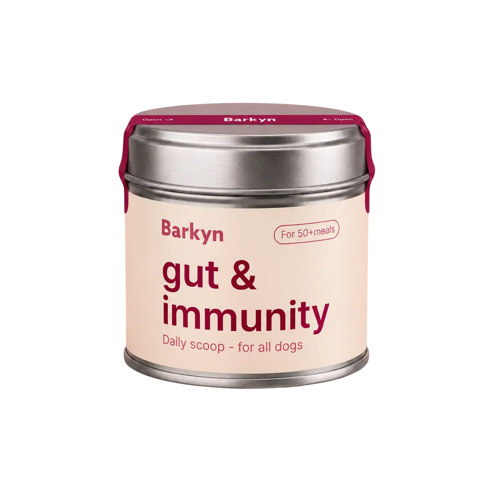 Suplemento Gut & Immunity