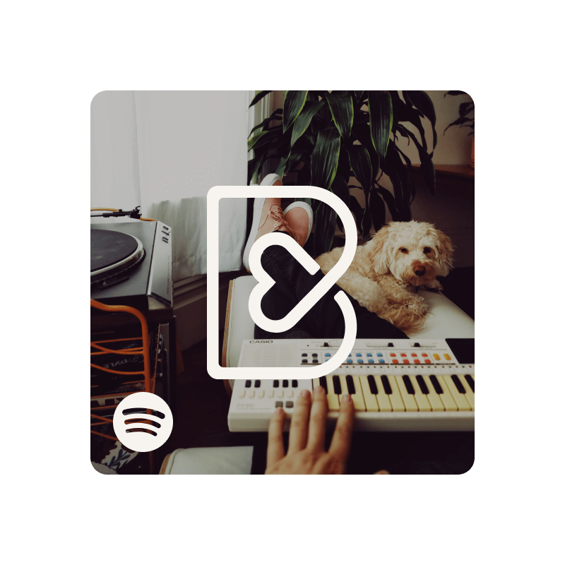 Playlist Spotify