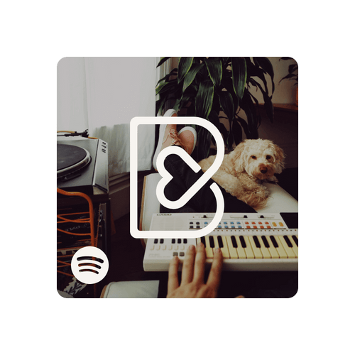 Playlist Spotify