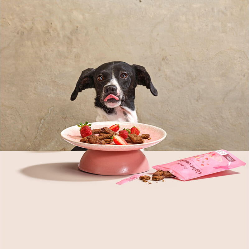 Comida para perros sin cereales – Barkyn