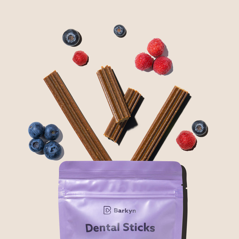 Dental Sticks de Bayas Silvestres